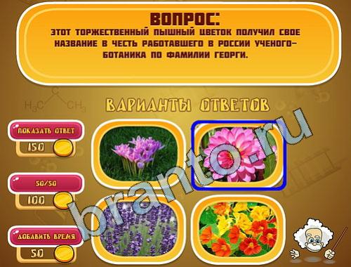 ответы на игру Эйнштейн в скриншотах уровень 432