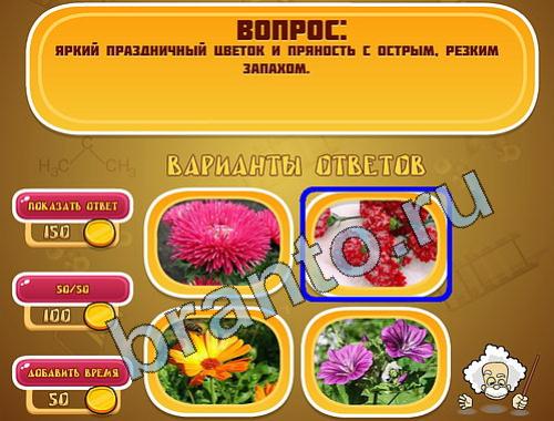 ответы для игры Эйнштейн уровень 433