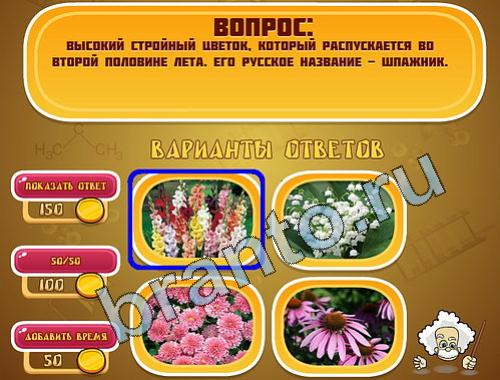 ответы на игру Эйнштейн уровень 434