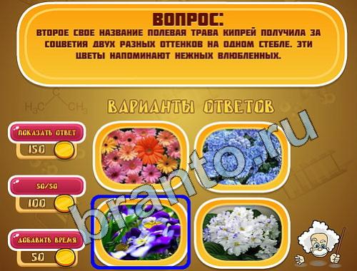 ответы на игру Эйнштейн уровень 435
