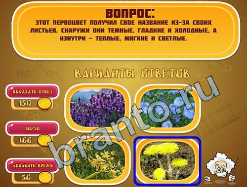 ответы на игру Эйнштейн уровень 436