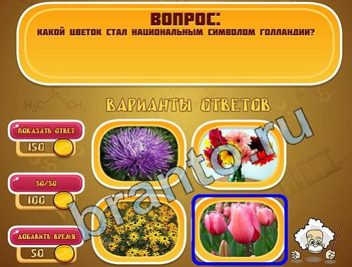 ответы на игру Эйнштейн уровень 440