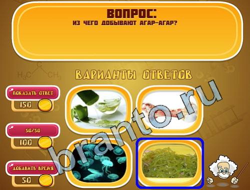 Эйнштейн ответы уровень 528