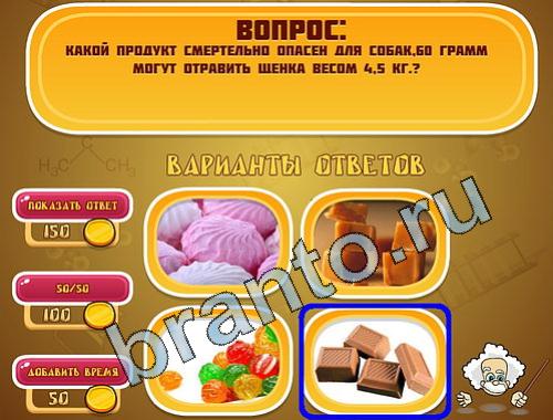 решебник на игру Эйнштейн уровень 531