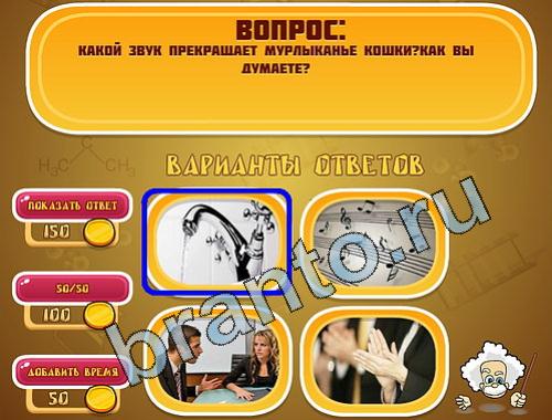 Эйнштейн игра подКошки уровень 574