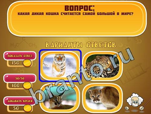 Эйнштейн ответы в картинках уровень 576