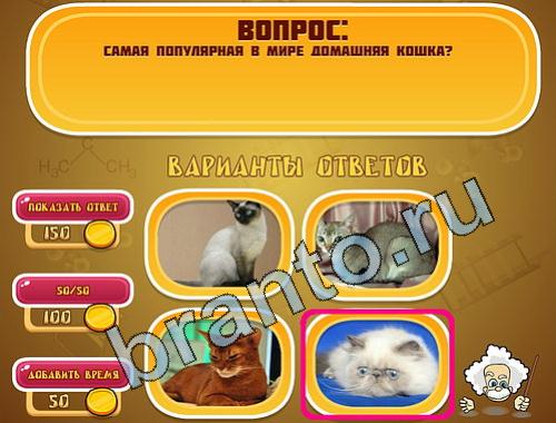 Игра Эйнштейн ответы уровень 577