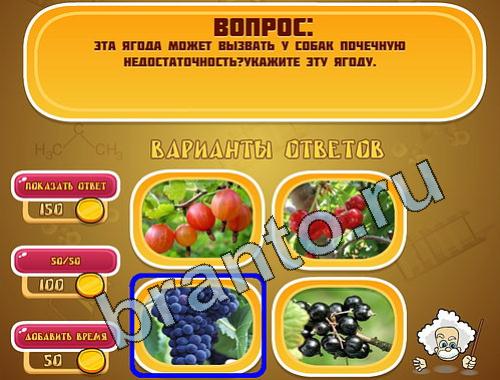 Эйнштейн прохождение игры уровень 582