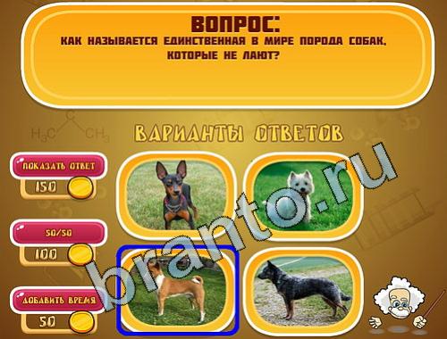 ответы Эйнштейн уровень 585