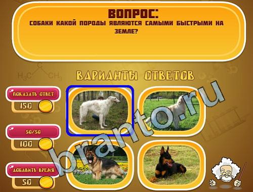 решения для игры Эйнштейн уровень 588