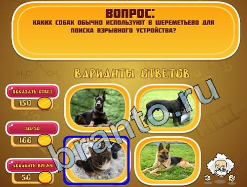 ответы для игры Эйнштейн уровень 593