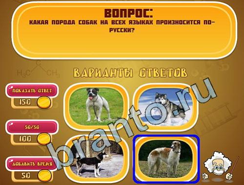 ответы на игру Эйнштейн уровень 600