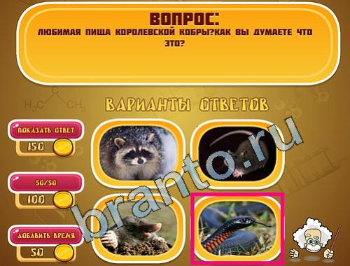 Помощь на игру Эйнштейн уровень 724