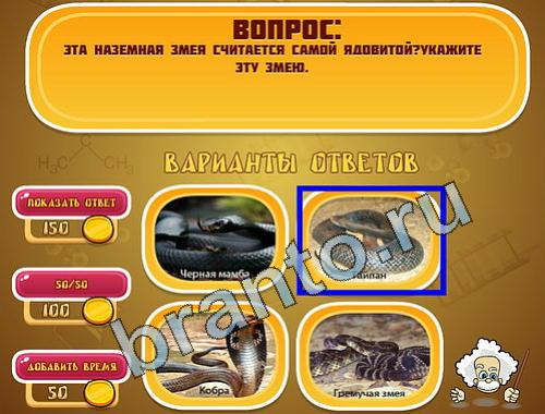 ответы к игре Эйнштейн уровень 725