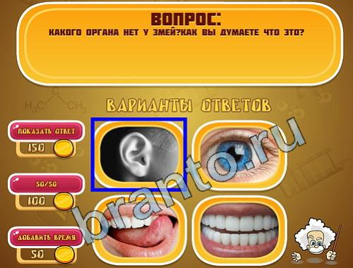 Эйнштейн игра ответы в одноклассниках уровень 727