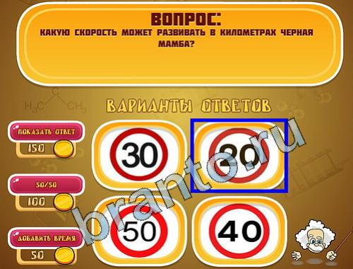 Эйнштейн подЗмеи уровень 729