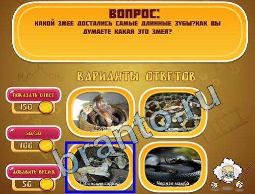 Эйнштейн помощь уровень 730