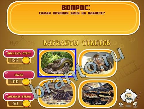 Эйнштейн решения уровень 732