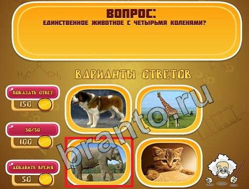 Решения на игру Эйнштейн уровень 763