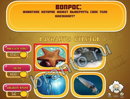 ответы на игру в одноклассниках Эйнштейн уровень 766