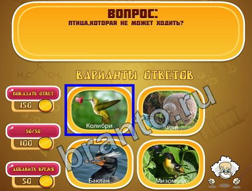 Эйнштейн подЖивотные уровень 769