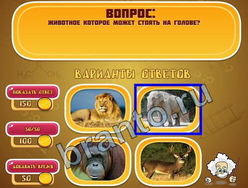 решебник на игру Эйнштейн уровень 771