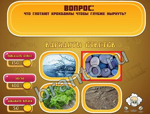 Эйнштейн игра ответы уровень 773