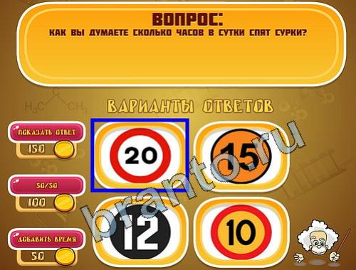 Эйнштейн игра подЖивотные уровень 774