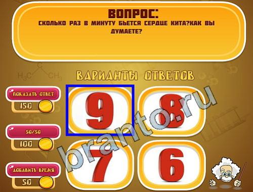 Игра Эйнштейн ответы уровень 777