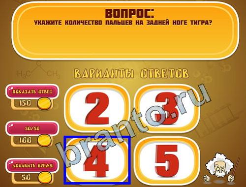 Игра Эйнштейн подЖивотные уровень 778