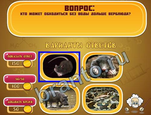 игра Эйнштейн помощь уровень 779