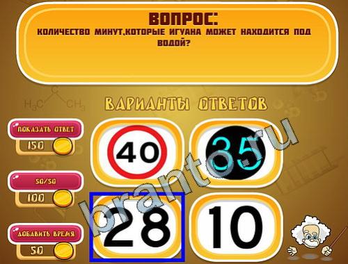 Игра Эйнштейн прохождение уровень 780