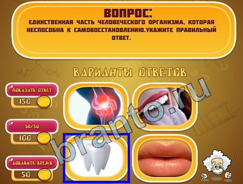 ответы на игру Эйнштейн в одноклассниках уровень 783