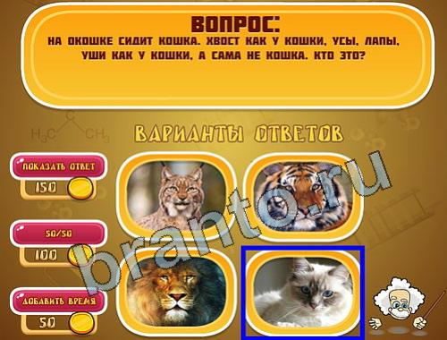 Эйнштейн игра ответы в одноклассниках уровень 967