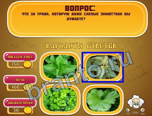 Эйнштейн ответы уровень 968