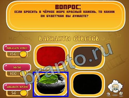 Эйнштейн помощь уровень 970