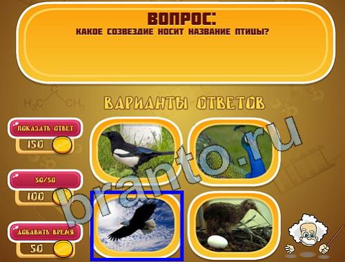 Игра Эйнштейн прохождение уровень 980