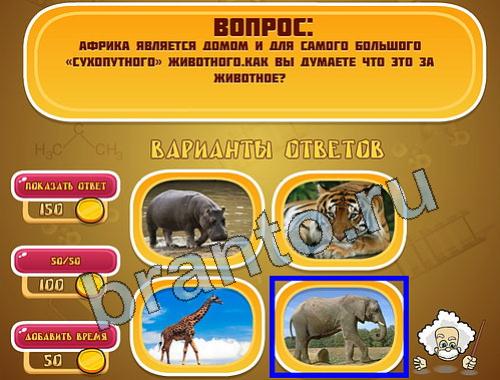 ответы на игру Эйнштейн уровень 995
