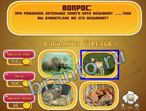 Эйнштейн игра ответы уровень 1109