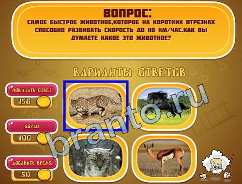 Эйнштейн помощь в картинках уровень 1111