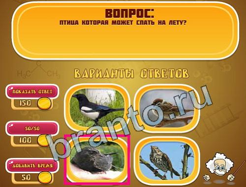 ответы на игру Эйнштейн уровень 1114
