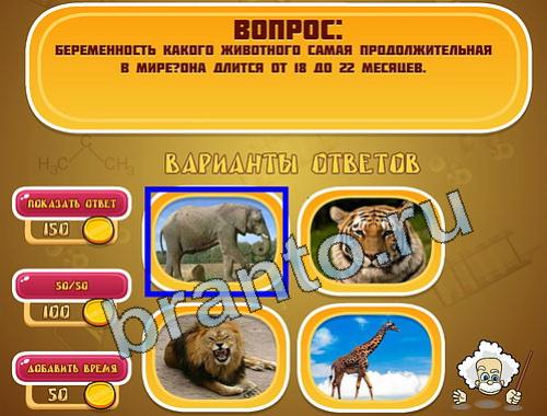 Эйнштейн игра ответы в одноклассниках уровень 1127