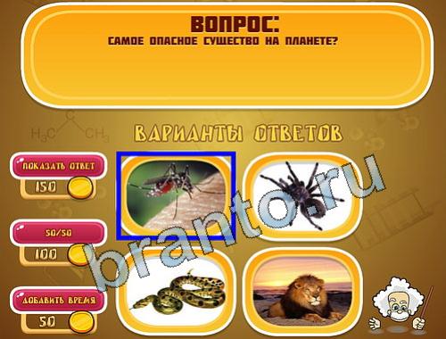 Игра Эйнштейн ответы уровень 1137