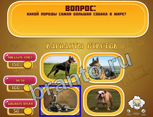 Игра Эйнштейн подФакты уровень 1138