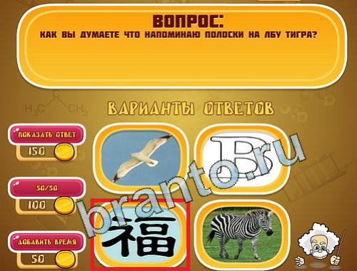 Прохождение игры Эйнштейн уровень 1224