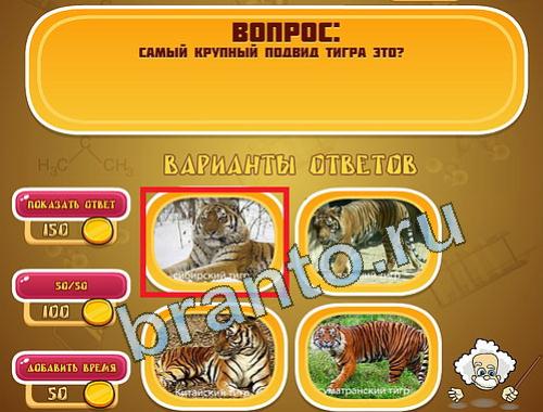 ответы Эйнштейн уровень 1225