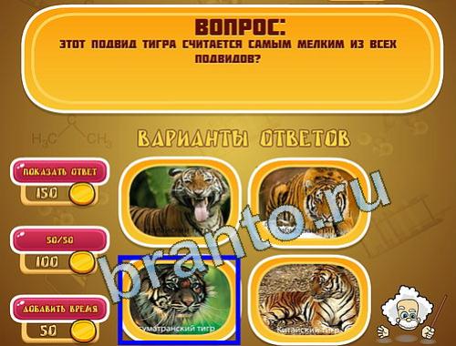 ответы Эйнштейн в одноклассниках уровень 1226