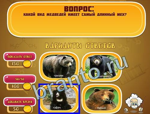 Эйнштейн помощь в картинках уровень 1231