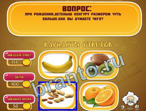 ответы на игру Эйнштейн уровень 1238