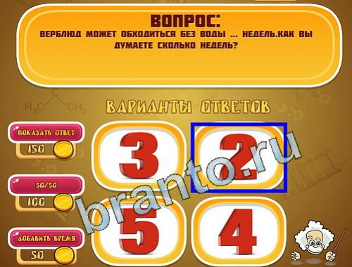 ответы на игру Эйнштейн уровень 1239